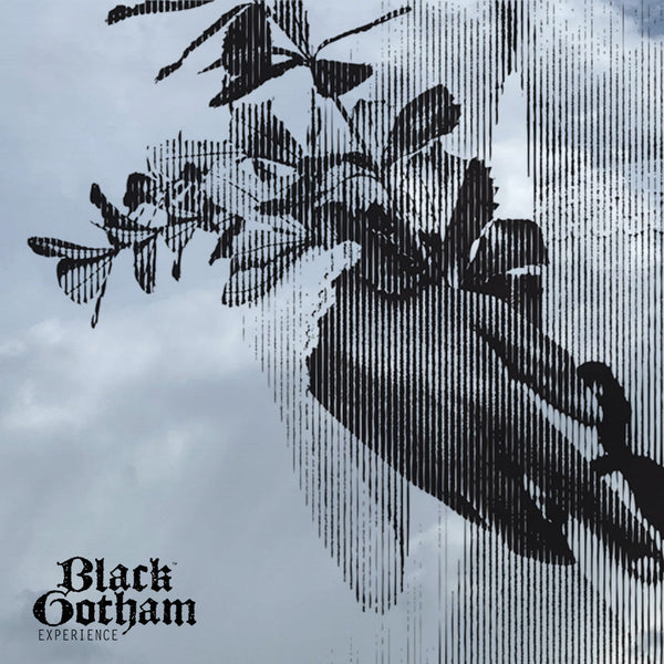 Other Side of Wall Street | Summer 2022