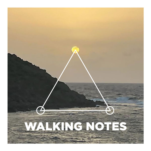 Walking Notes | 2023